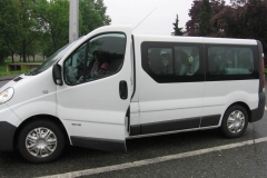 Bosanske-piramide-2014-1