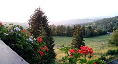 jutro1
